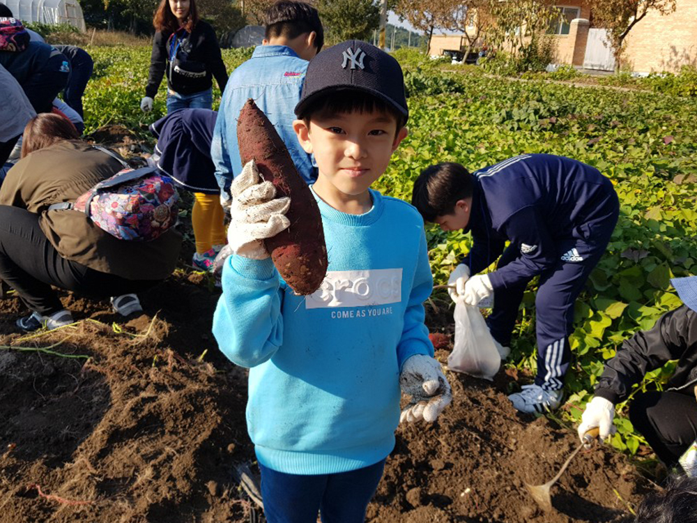 농산물 수확체험